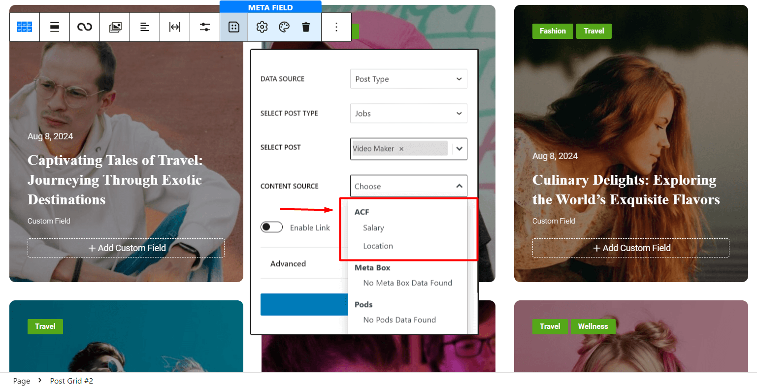 fetching data from ACF and showing them as metadata